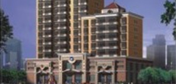 ʢ������